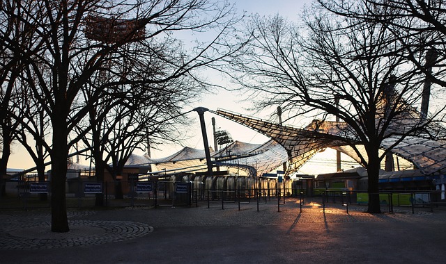 得了比赛胜 得了比赛胜