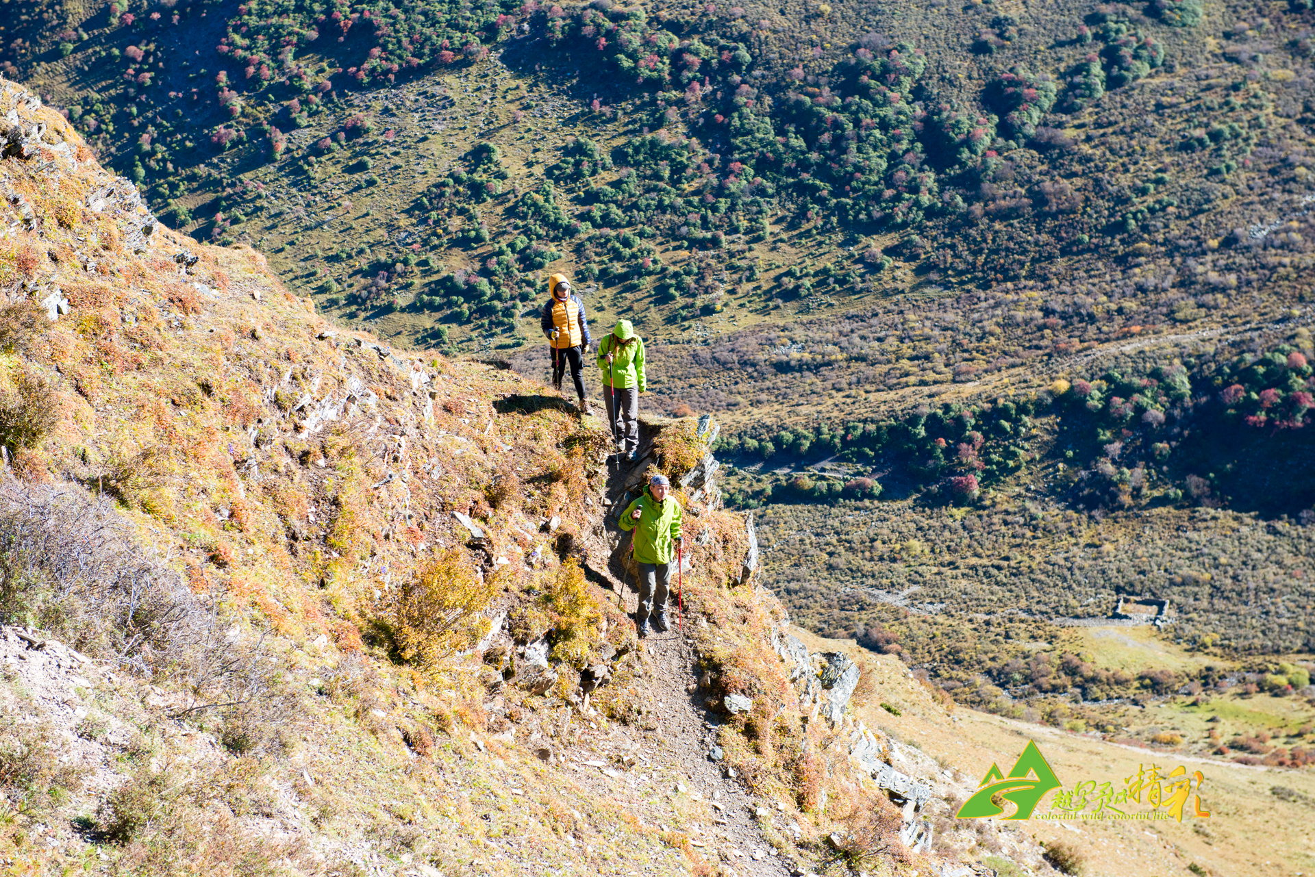 防守困局時 防守困局時