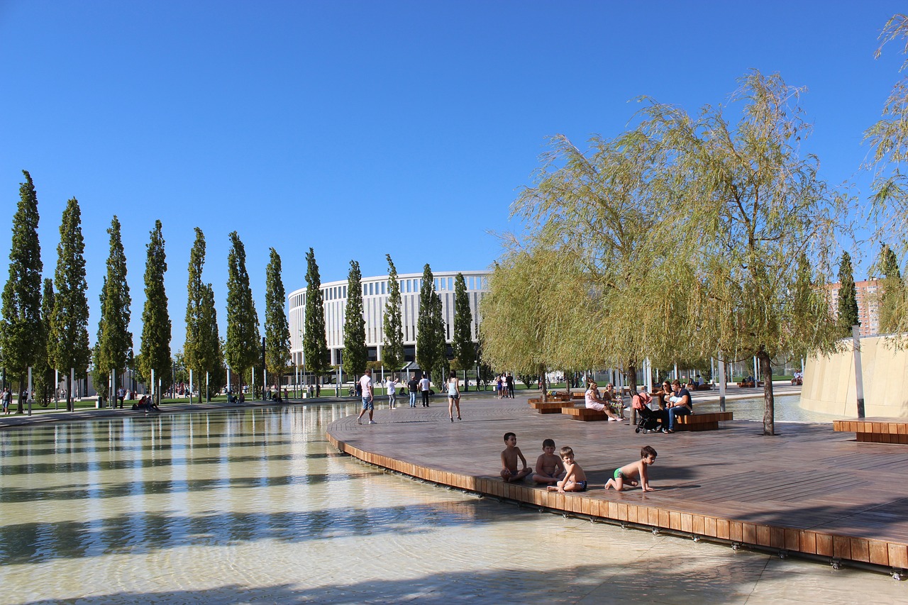 后作出的决 后作出的决